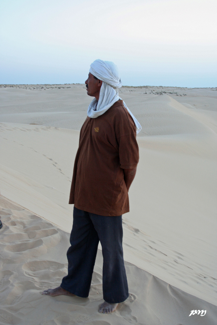 en haut de sa dune, il surveille le désert