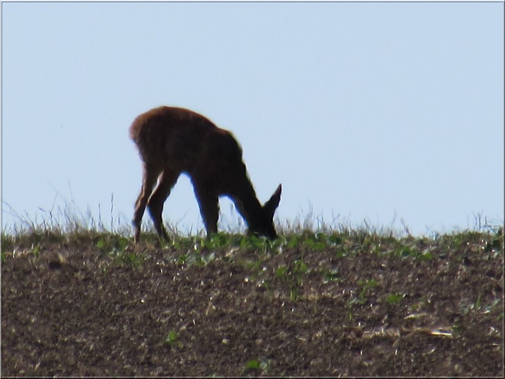 ..En haut du village..