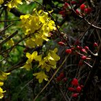 EN JAUNE ET ROUGE