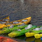 En jaune et vert 