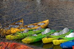 En jaune et vert 