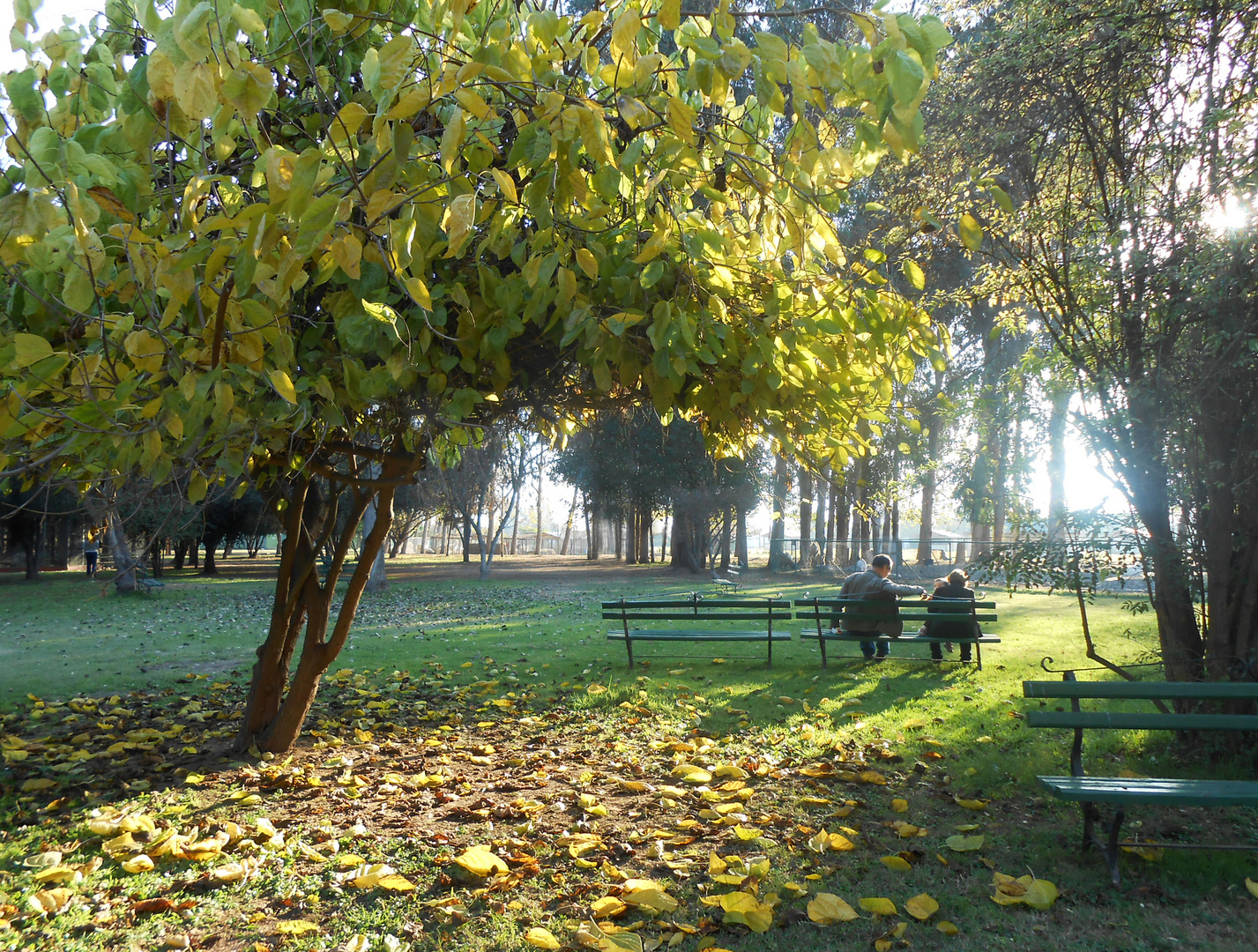 En la banca del parque