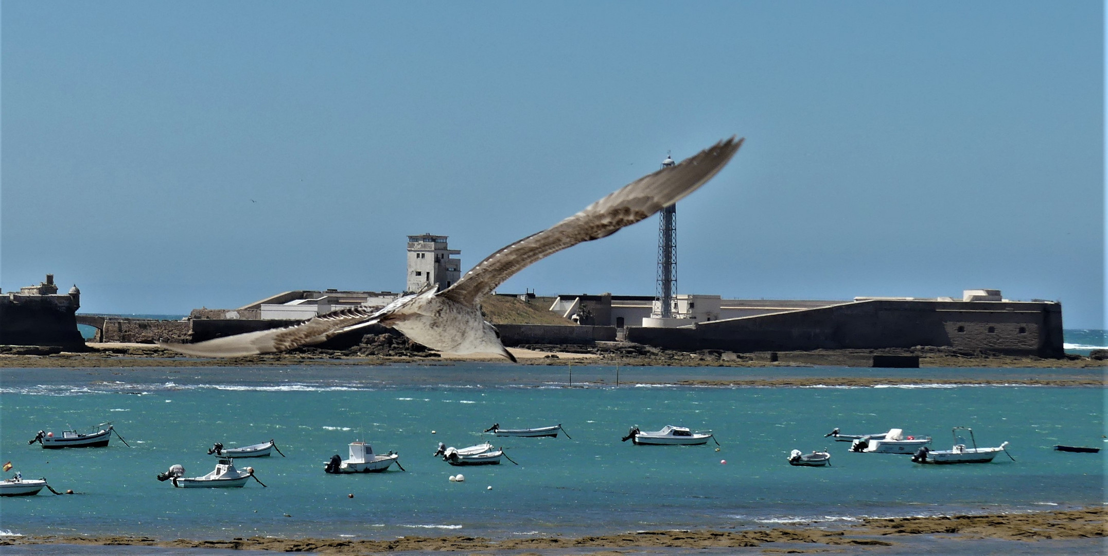 En la caleta de Cádiz