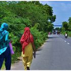 En la carretera.Camino a Udaipur