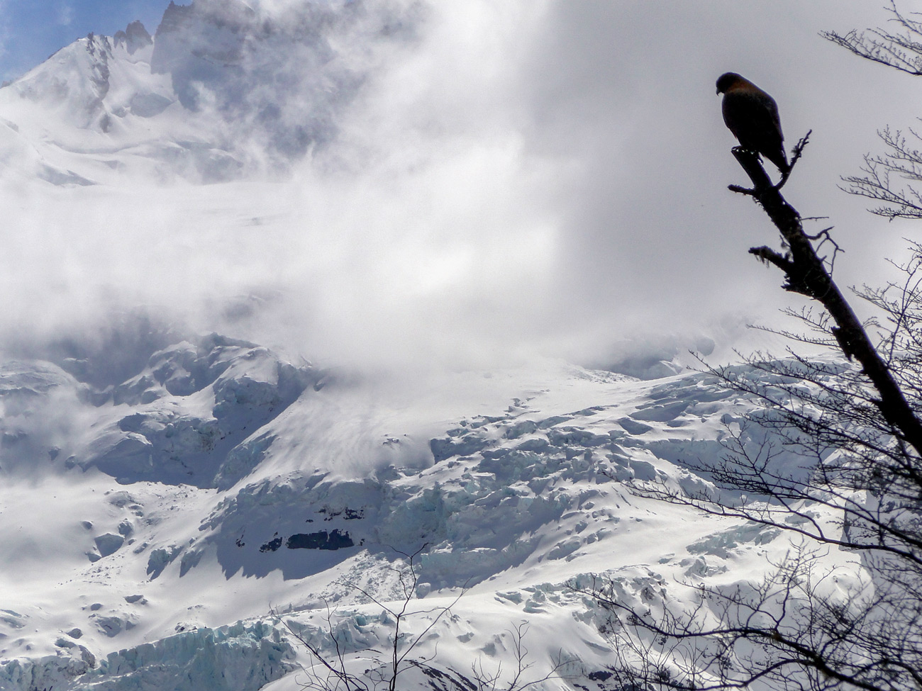 en la cima - at the top