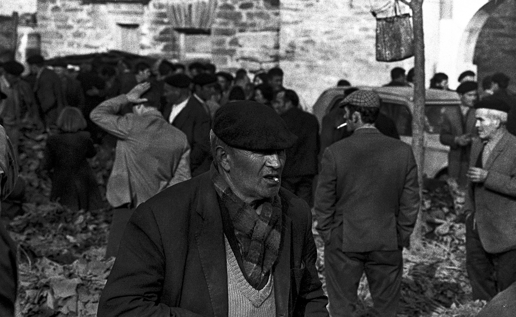 EN LA FERIA DE VERDURAS