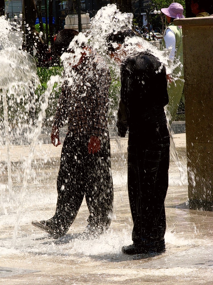 En la fuente