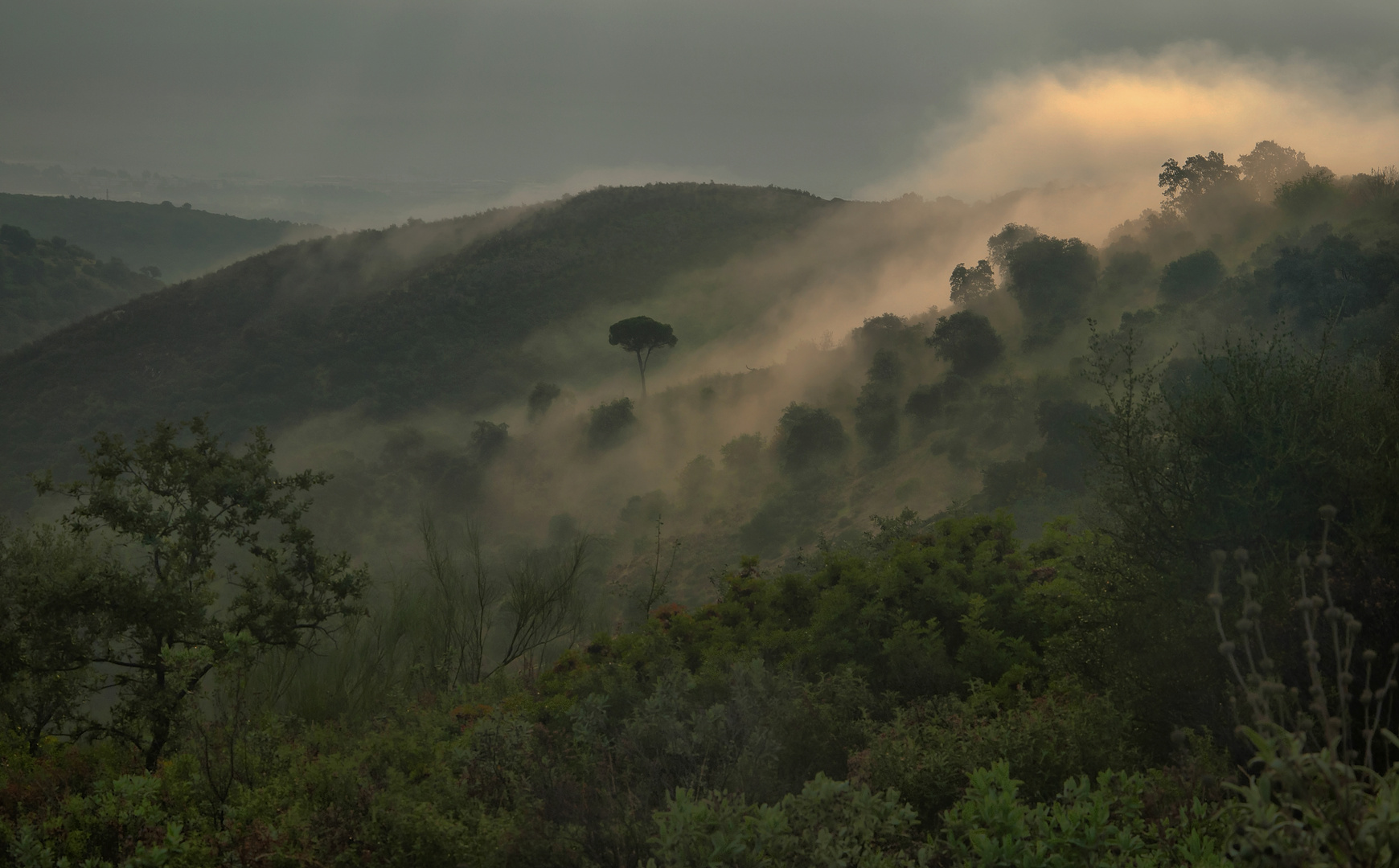 EN LA NATURALEZA LA BIODIVERSIDAD ES UN VALOR AÑADIDO.