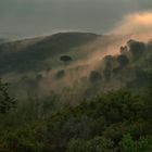 EN LA NATURALEZA LA BIODIVERSIDAD ES UN VALOR AÑADIDO.