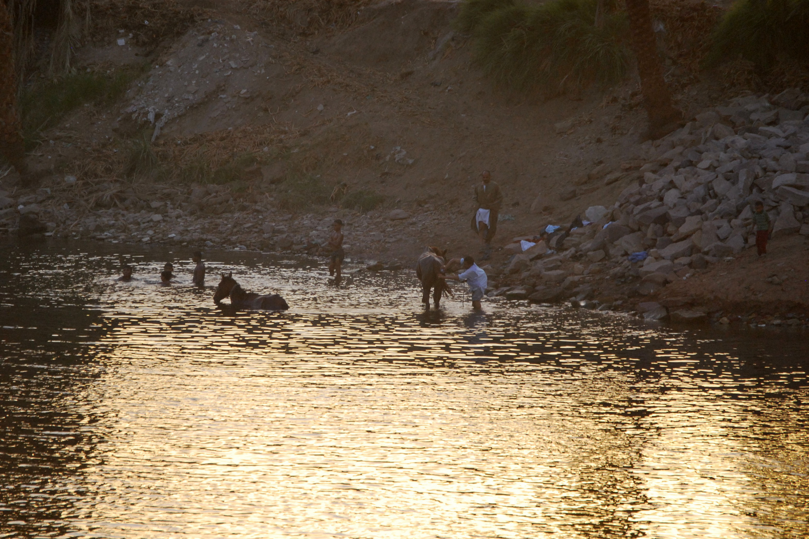 En la orilla del Nilo II