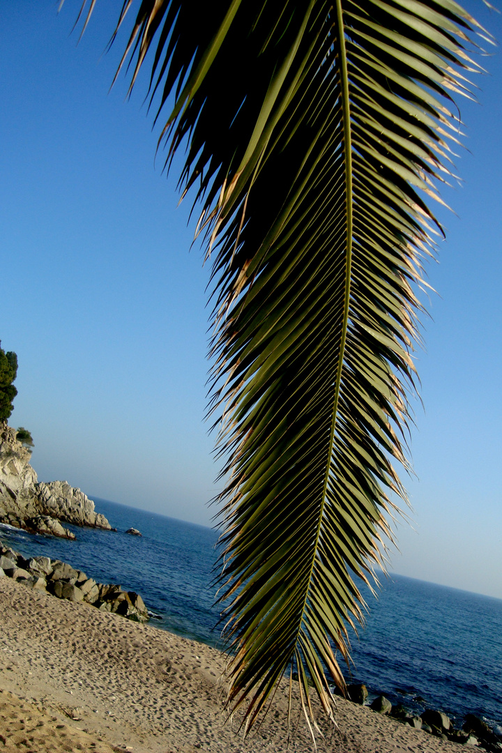 en la playa