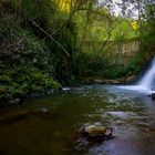 En la senda del agua (2)