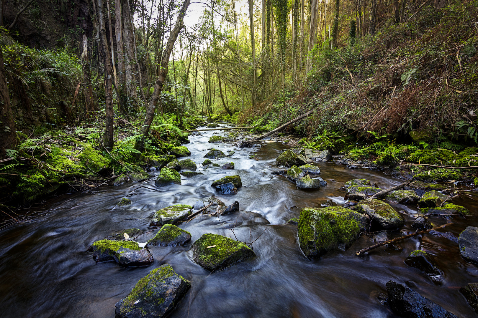 En la senda del agua (3)