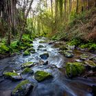 En la senda del agua (3)