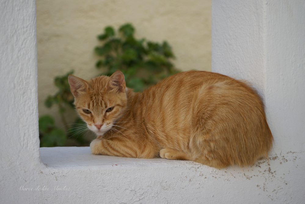 En la ventana...