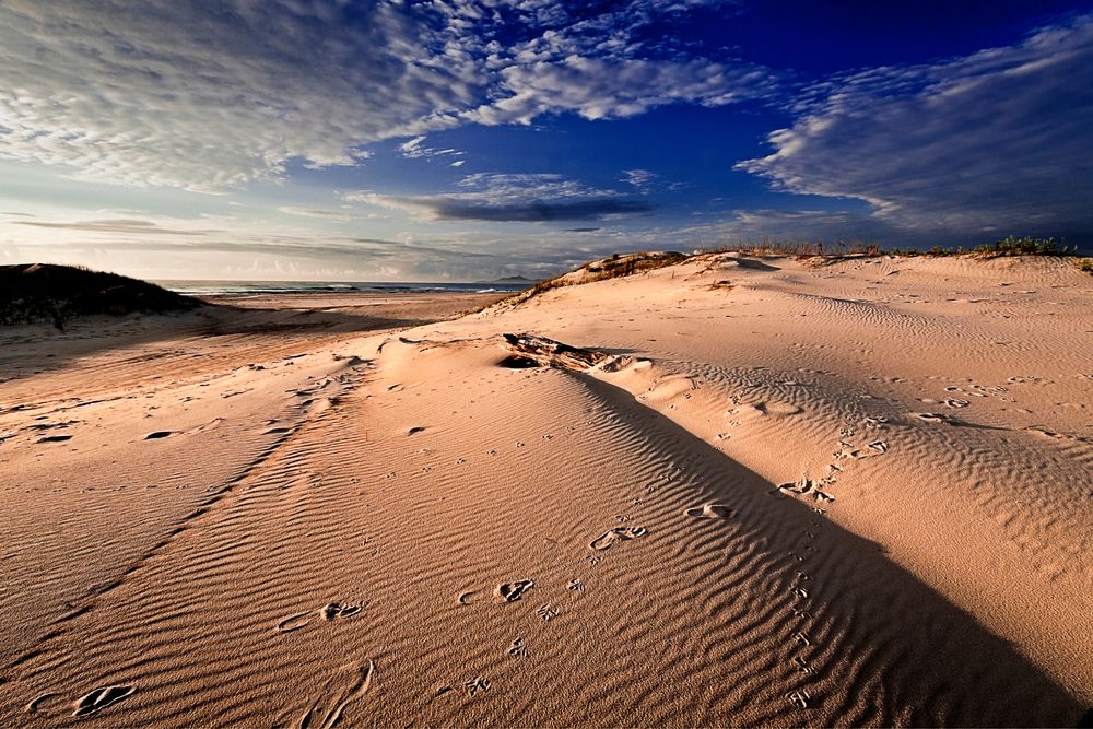 en las dunas