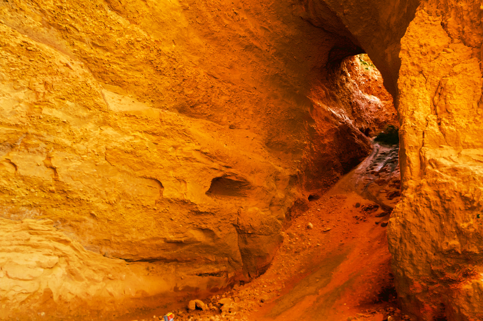 EN LAS MÉDULAS . León