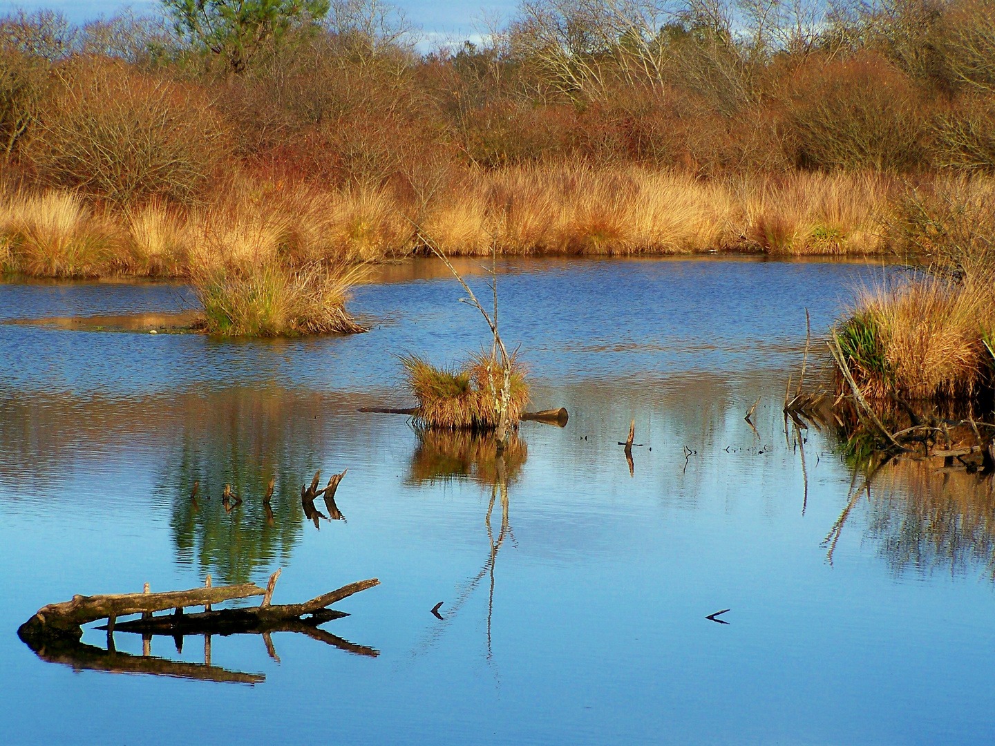 En longeant le lac 2