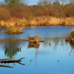 En longeant le lac 2