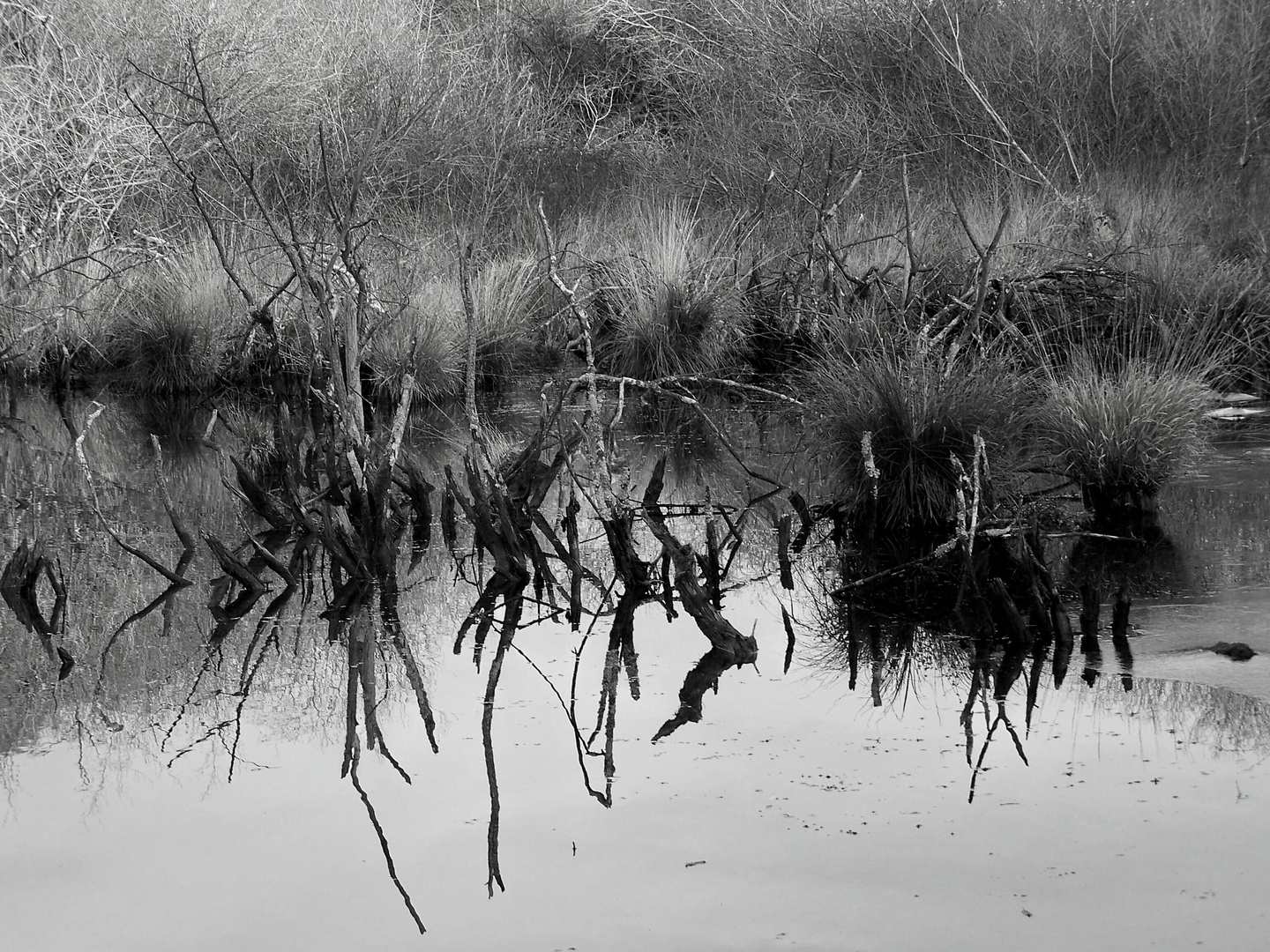 En longeant le lac (Hiver)