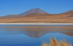 En los altiplanos bolivianos