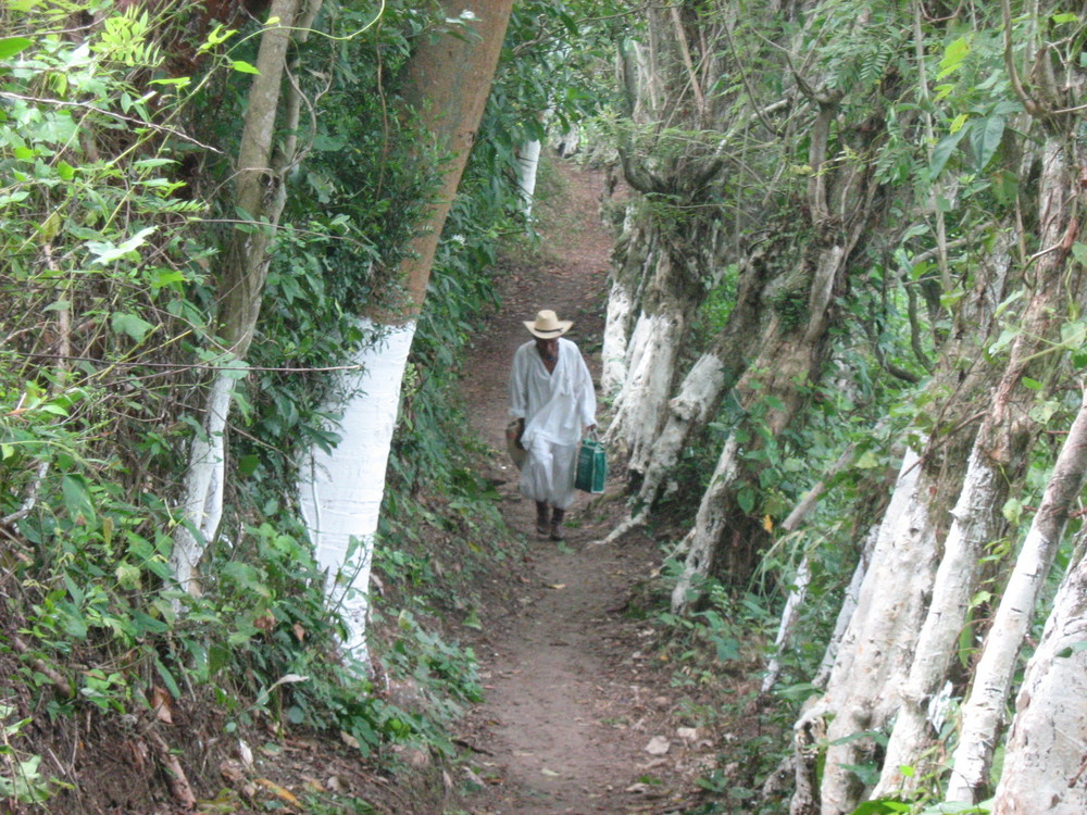 EN LOS CAMINOS DE PAPANTLA