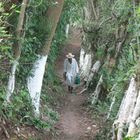 EN LOS CAMINOS DE PAPANTLA