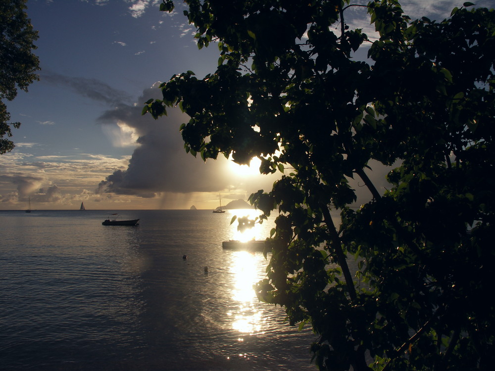 EN MARTINIQUE