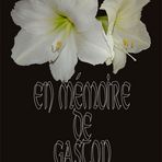 en mémoire de Gaston