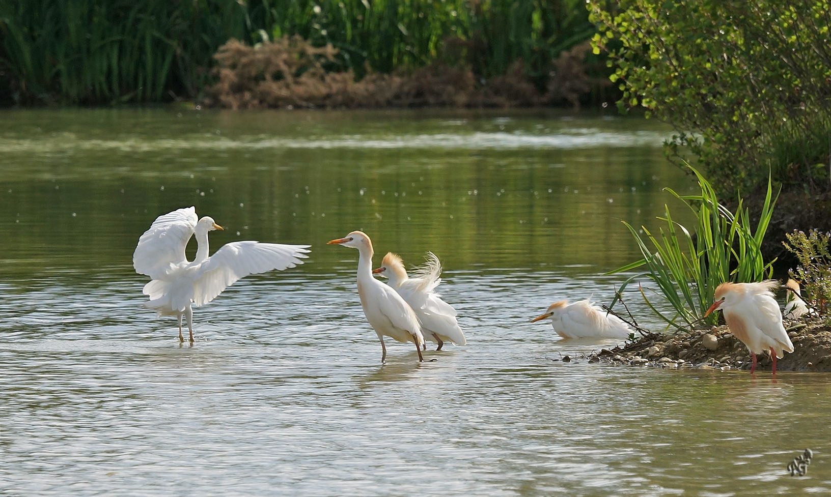 en mettre plein la vue  aux copains !!!!!