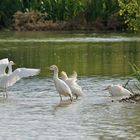 en mettre plein la vue  aux copains !!!!!