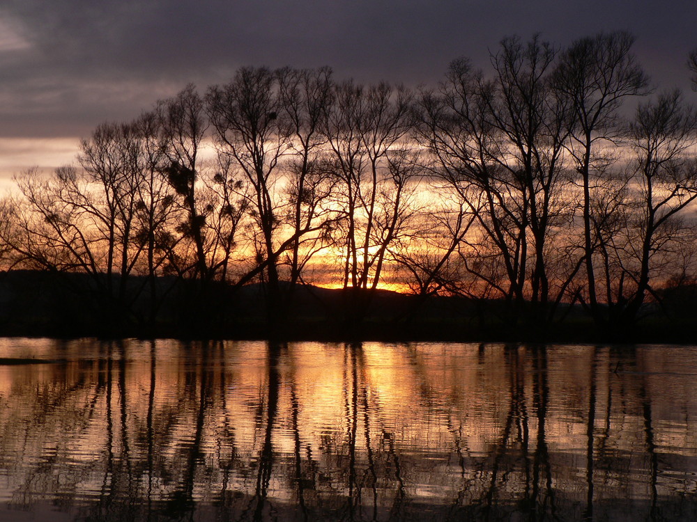 En meuse