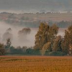 EN MEUSE AU PETIT MATIN 