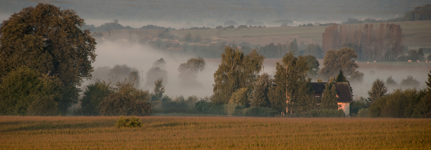 EN MEUSE AU PETIT MATIN 