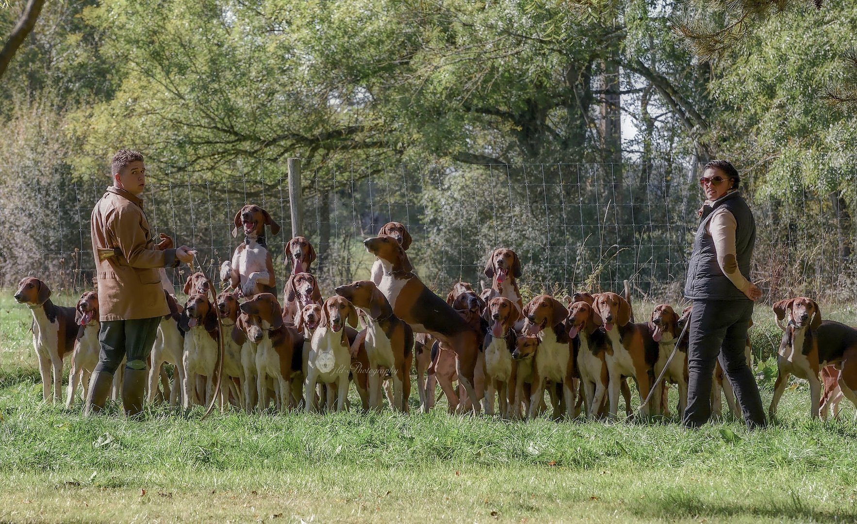 En Meute avant le départ 