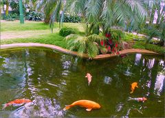 En mi jardin IV con  pescaditos Koi  