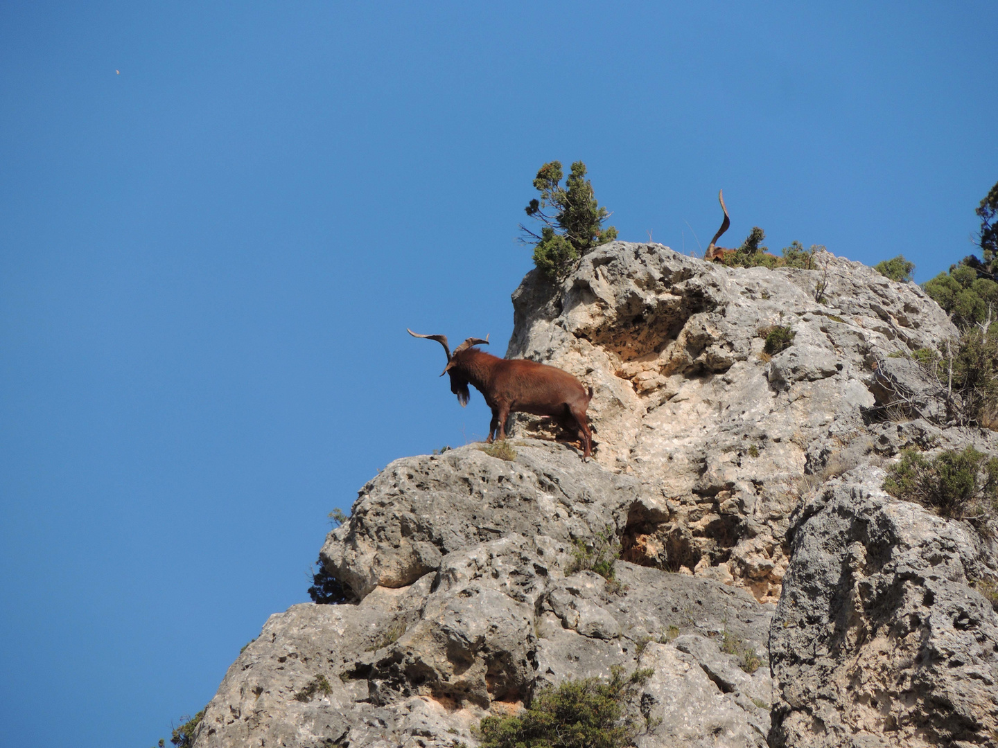 En montant à la chaîne de Moustiers