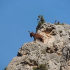 En montant à la chaîne de Moustiers