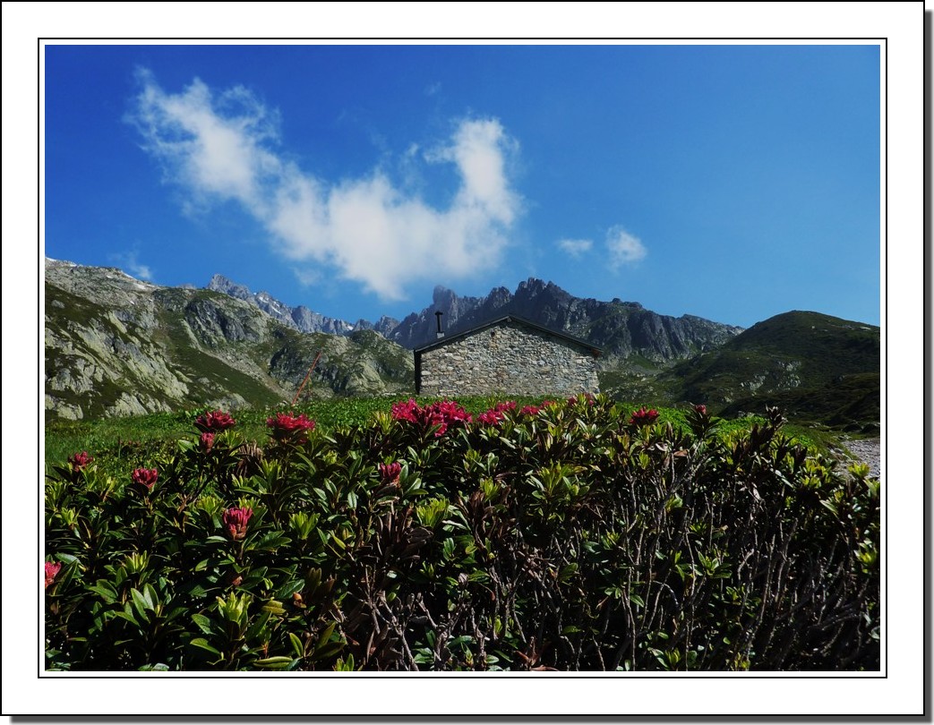 en montant au Lac blanc (Chamonix)