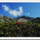 en montant au Lac blanc (Chamonix)