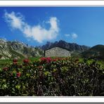 en montant au Lac blanc (Chamonix)