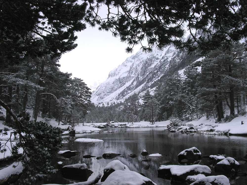 en montant au lac de gaube