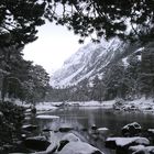 en montant au lac de gaube