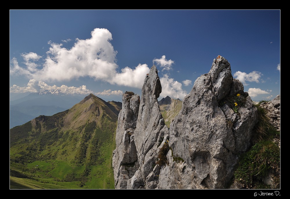 En montant au Pécloz (Bauges)