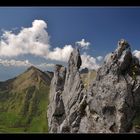 En montant au Pécloz (Bauges)