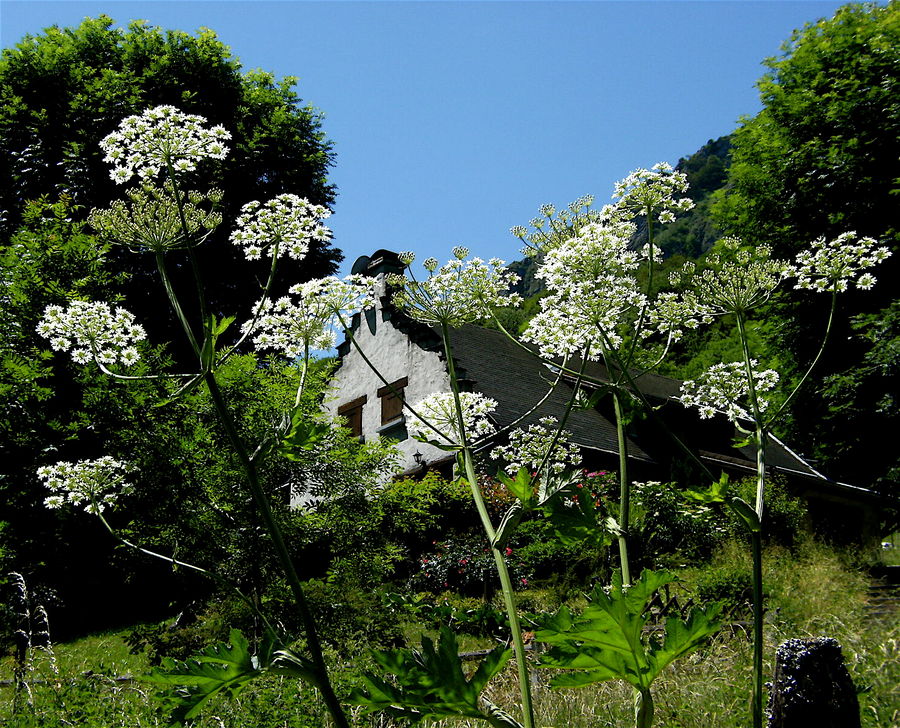 En montant au Tourmalet