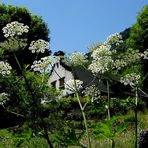 En montant au Tourmalet