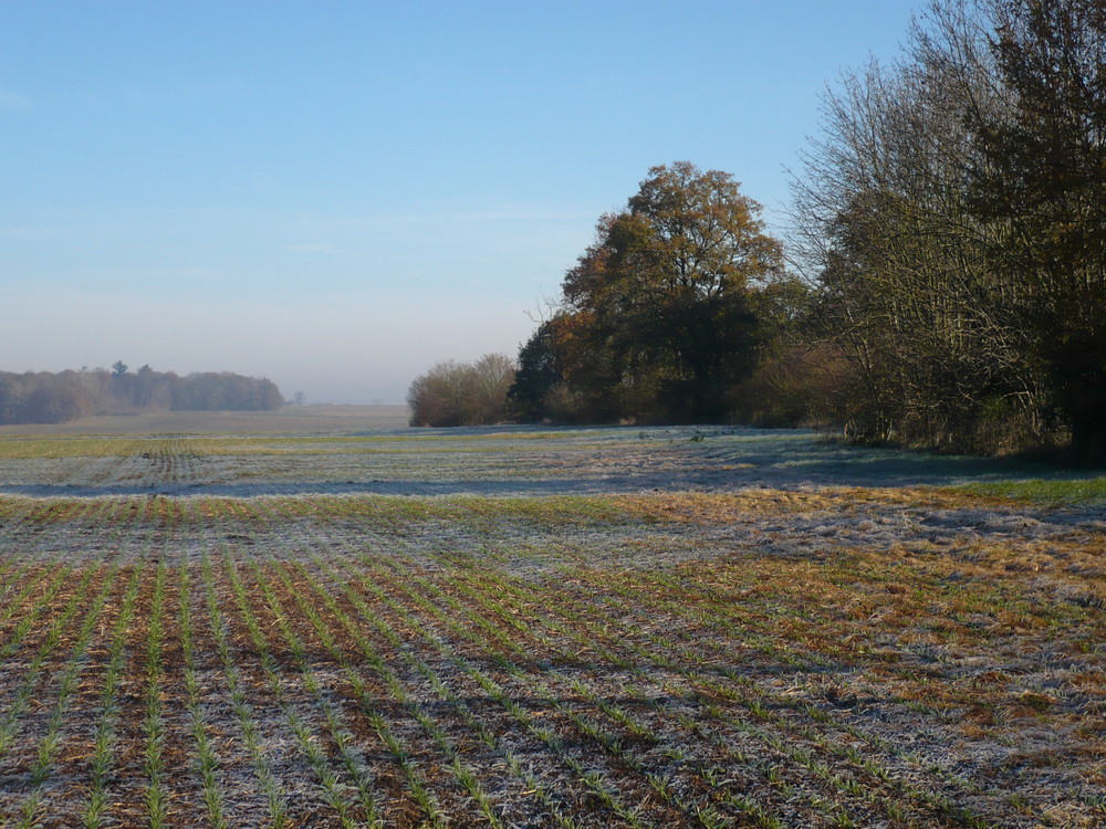 En novembre, un matin