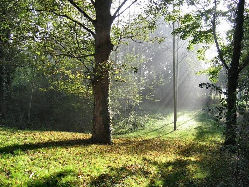 en octobre , un matin