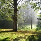 en octobre , un matin